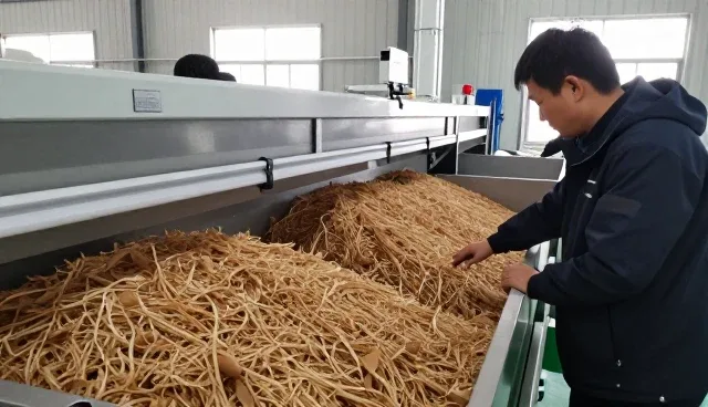 粮食加工帮助用户创造更多价值